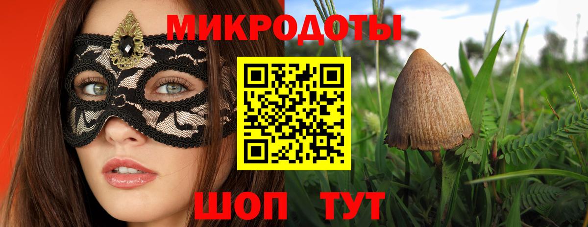 Галлюциногенные грибы Psilocybine cubensis Острогожск